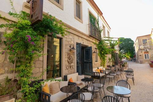 Owl Alacati