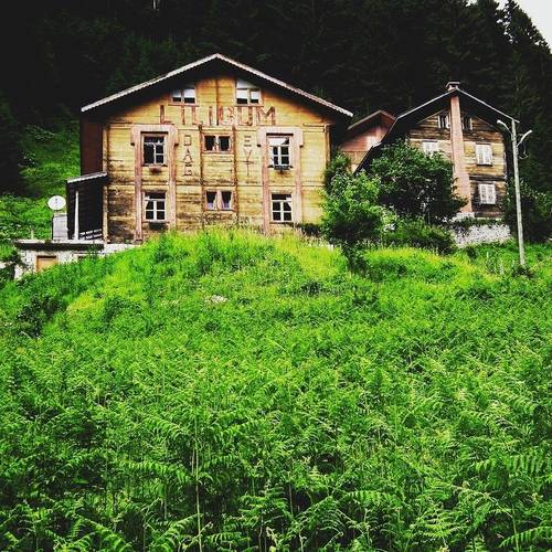 Livik Dağ Evi