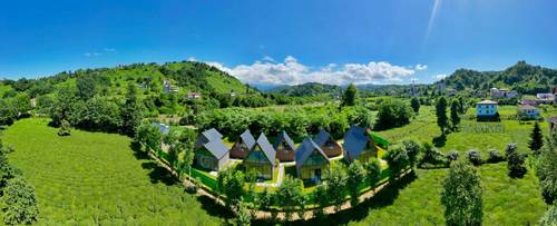 Greenparadise