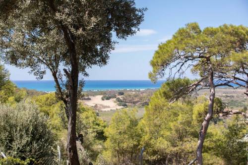 Carlotta 1 | Kaş