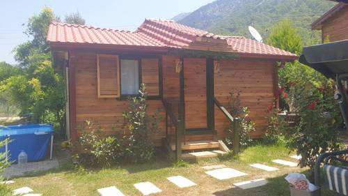 Olive House