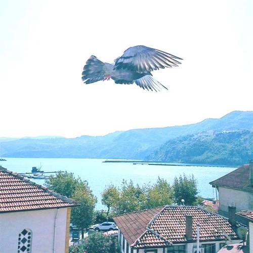 Balkaya Pansiyon
