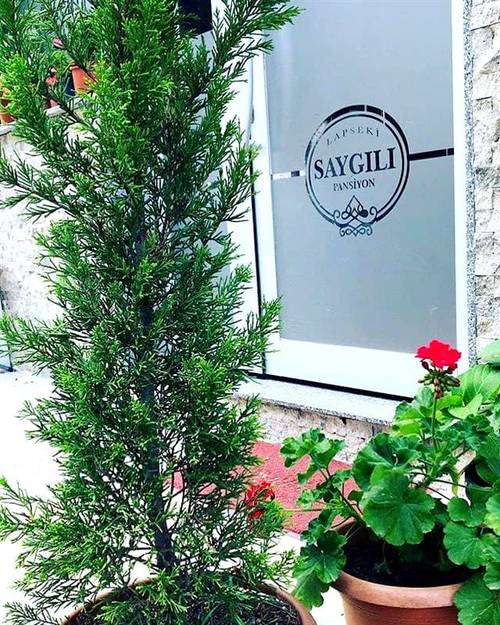 Saygılı Pan-Hotel