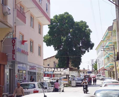 Şirin Apart Çorum