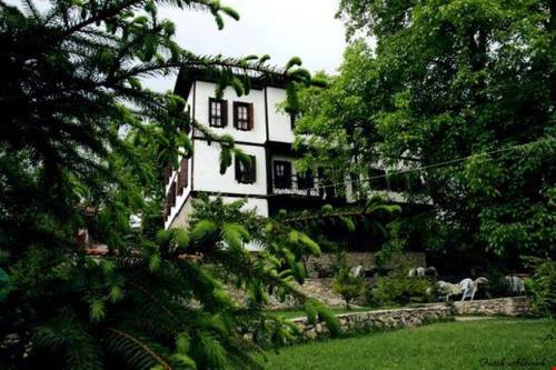 Nermin Hanım Konagı