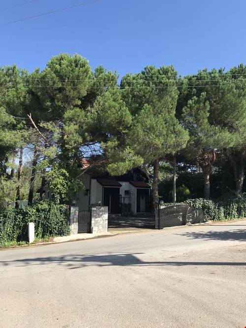Villadağaltı Evleri