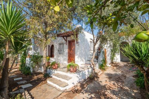 Gönülevi | Bodrum