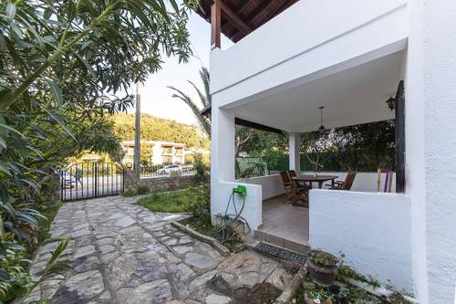 Palmtree | Bodrum