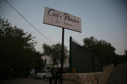 Cicis Pansion