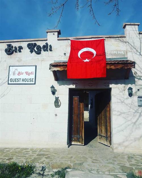 Bir Kedi Villa