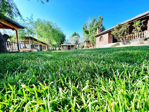 Bungalow Life Garden