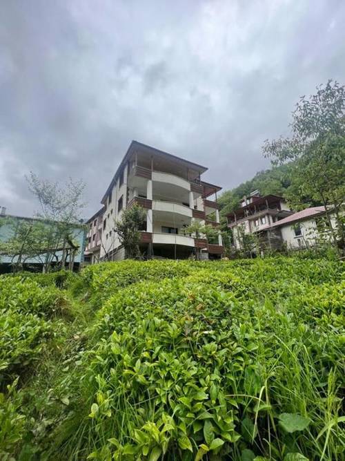 Serona Bungalow