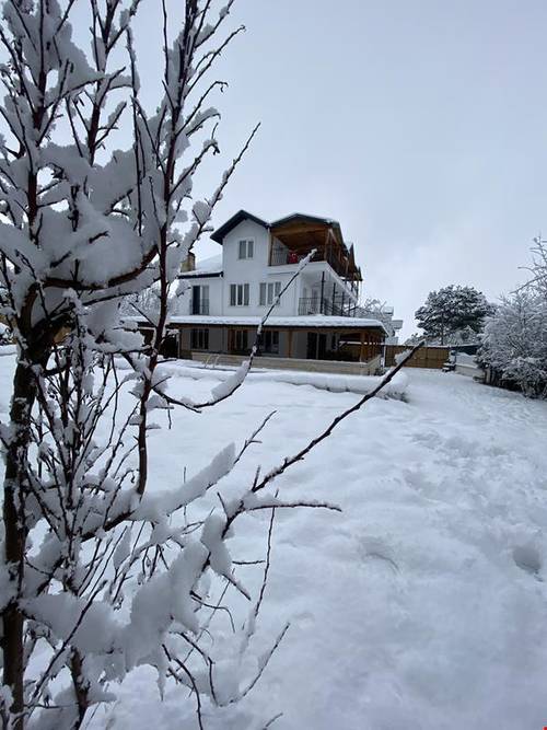 Hotgarden Villa