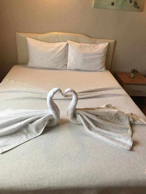 Otel Nese