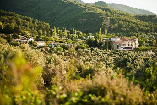 Natur-Med