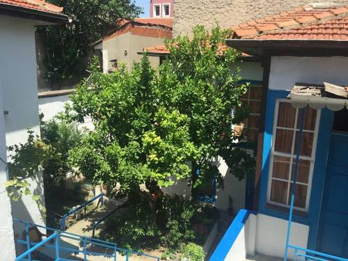 Fındık Pansiyon