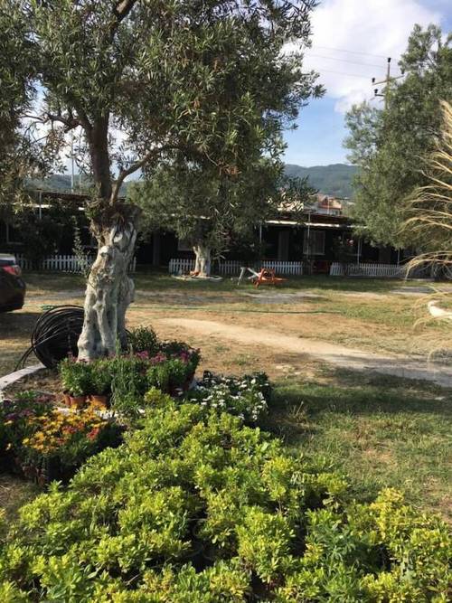 Ilgaz Motel