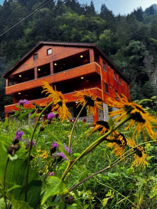 Kale kaya Otel
