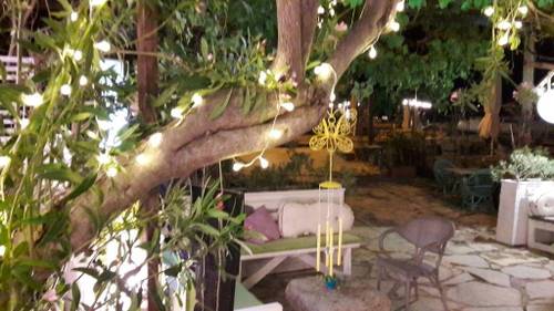 Uzum Tatil Evi