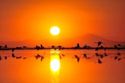 Sun Dalyan Hotel and Organic Farm