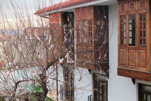 Ephesus Paradise
