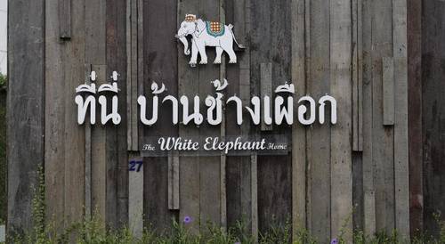 The White Elephant Home
