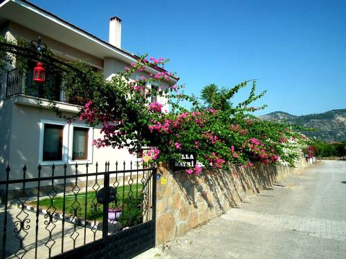 Villa Hayri