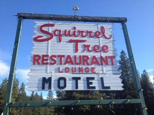 Squirrel Tree Resort