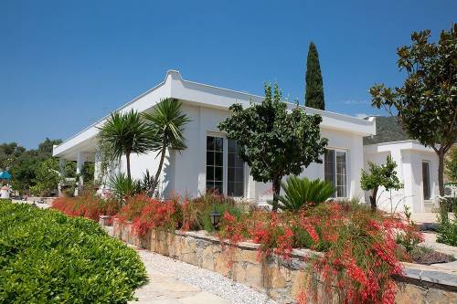 Important Group Villa Daisy
