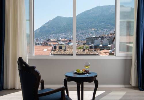 Voyage Elegante Hotel