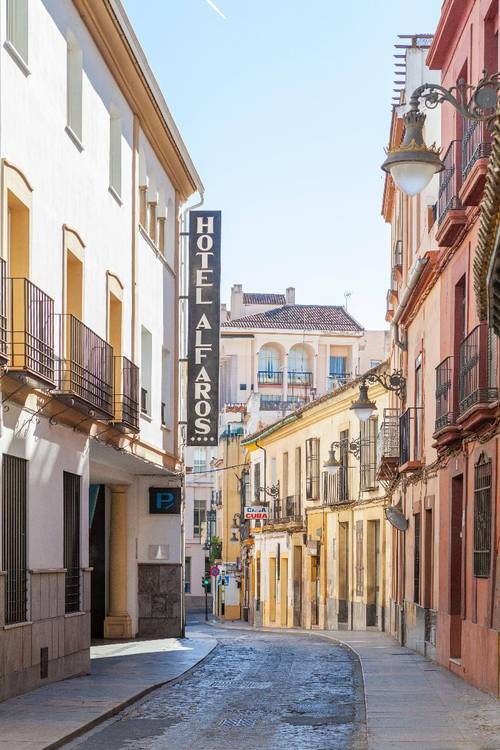 Macia Alfaros