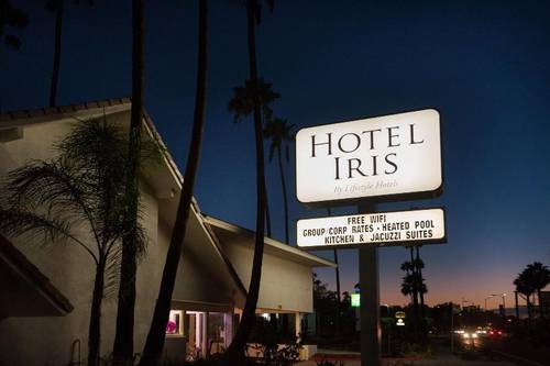 the Hotel Iris