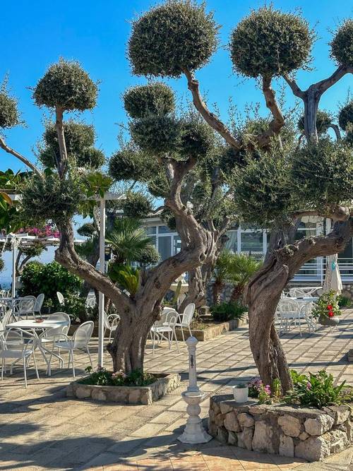 Hotel Villa  Lubrense Sorrento