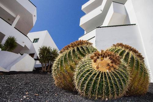 Lanzarote Paradise Colinas
