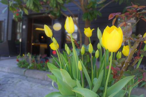 Hotel Yusufpaşa Konağı