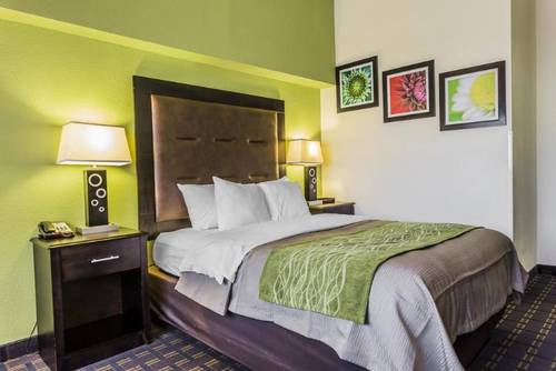 Comfort Inn Downtown Charleston