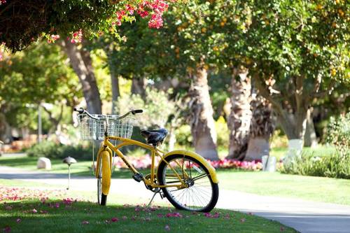 La Quinta Resort & Club,Curio Collection by Hilton