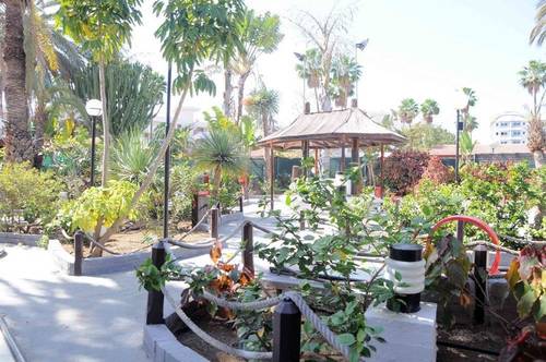 San Valentin & Terraforpark