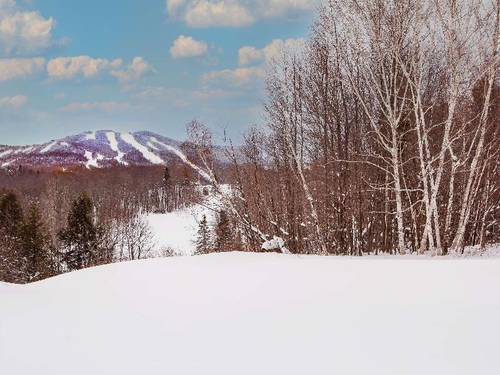 Killington Mountain Lodge, Tapestry