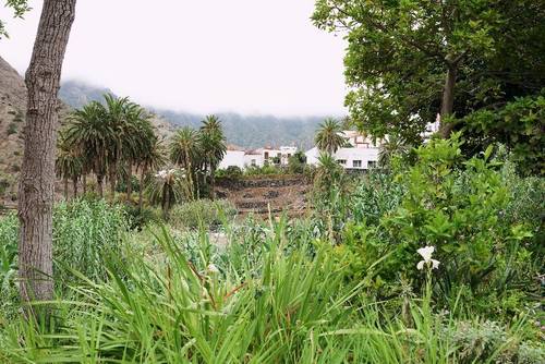 Finca Piñero