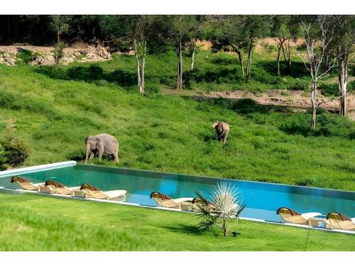 Wild Cottages Elephant Sanctuary Resort