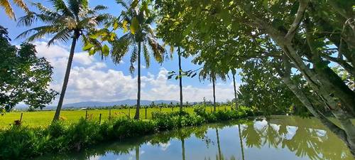 Le Cocotier Resort