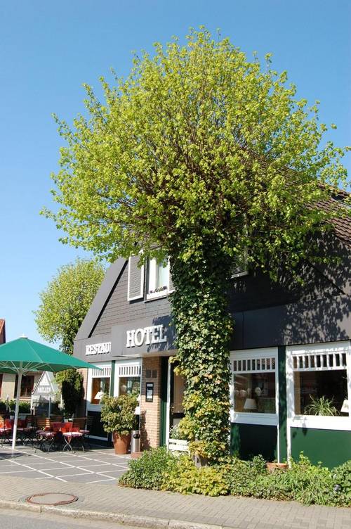 Hotel Paulsen