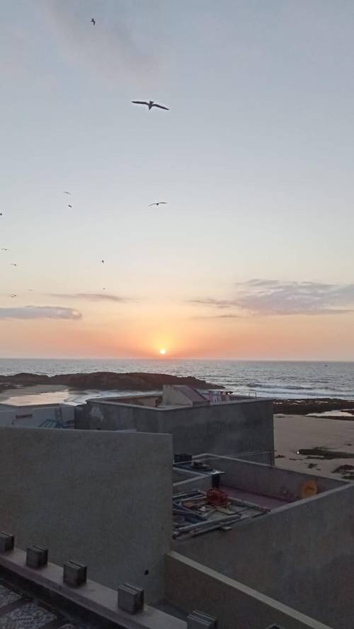 Riad Mellah