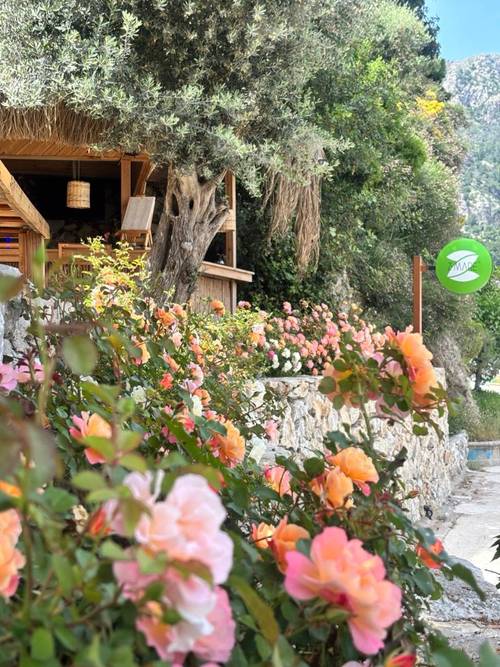 Z-villas Beach Hotel
