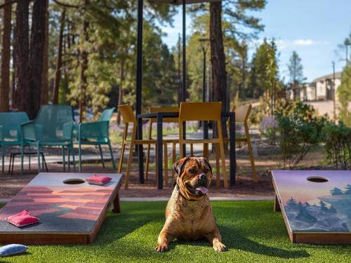 Home2 Suites By Hilton Flagstaff