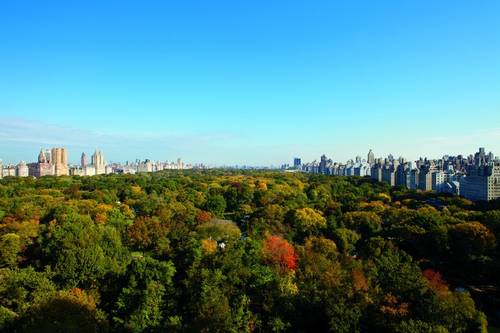 The Ritz-Carlton New York, Central Park