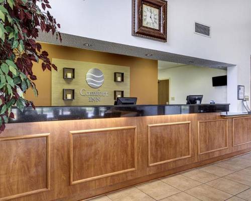 Comfort Inn University Area