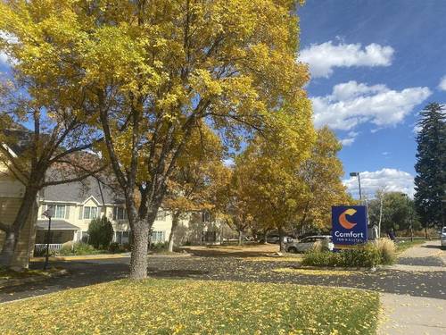 Comfort Inn & Suites Carbondale