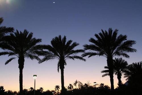 Moody Gardens Hotel & Spa Convention Center